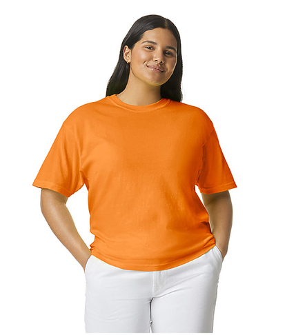 Comfort Colors Adult Heavyweight Tee  1717   X-LARGE